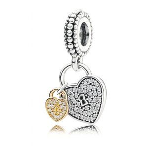 Double Heart Locks Charm/Pendant
